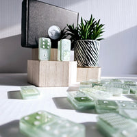 Domino Set - Mint Green Abstract