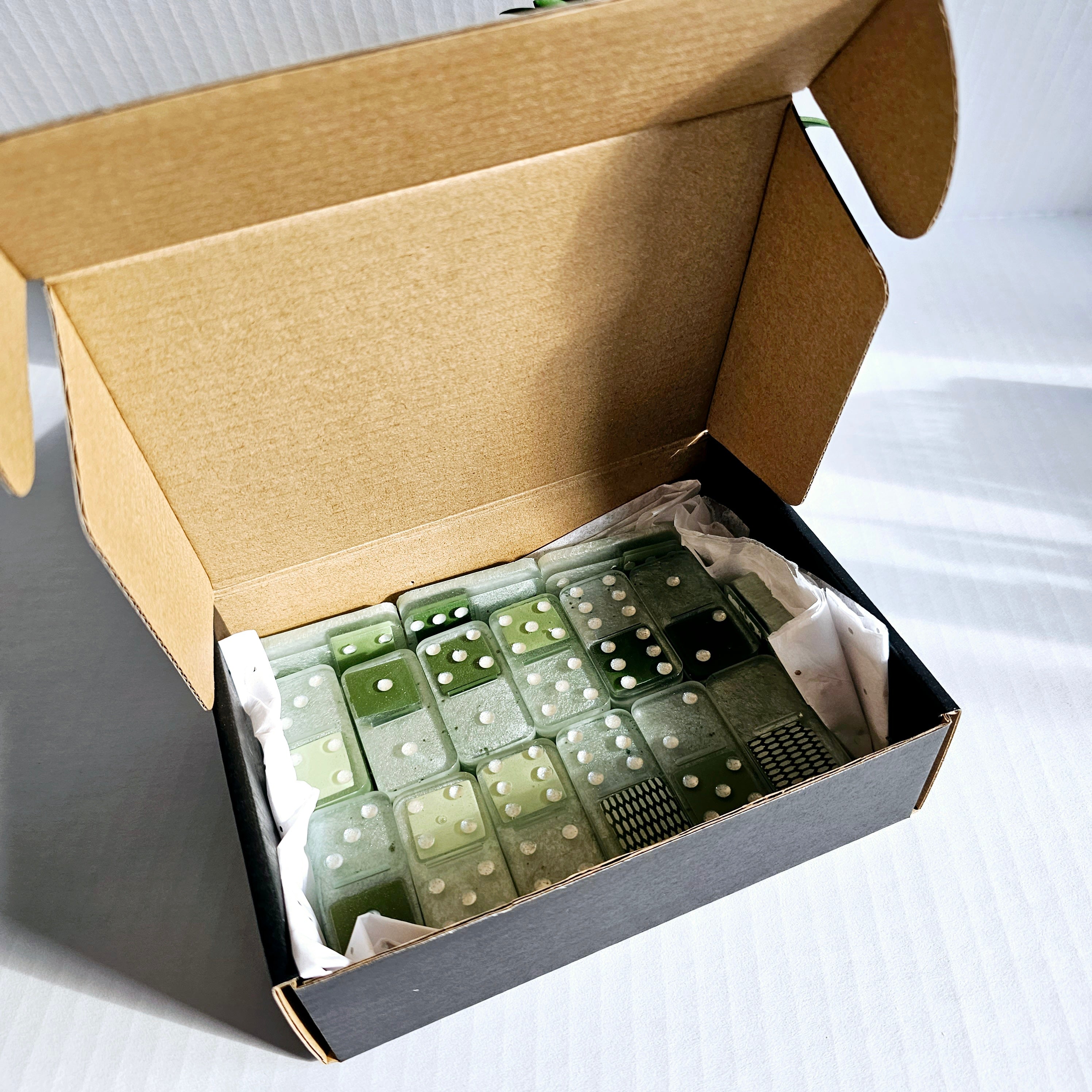 Domino Set - Mint Green Abstract