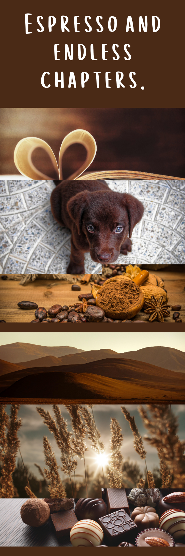 Color Theme Bookmark