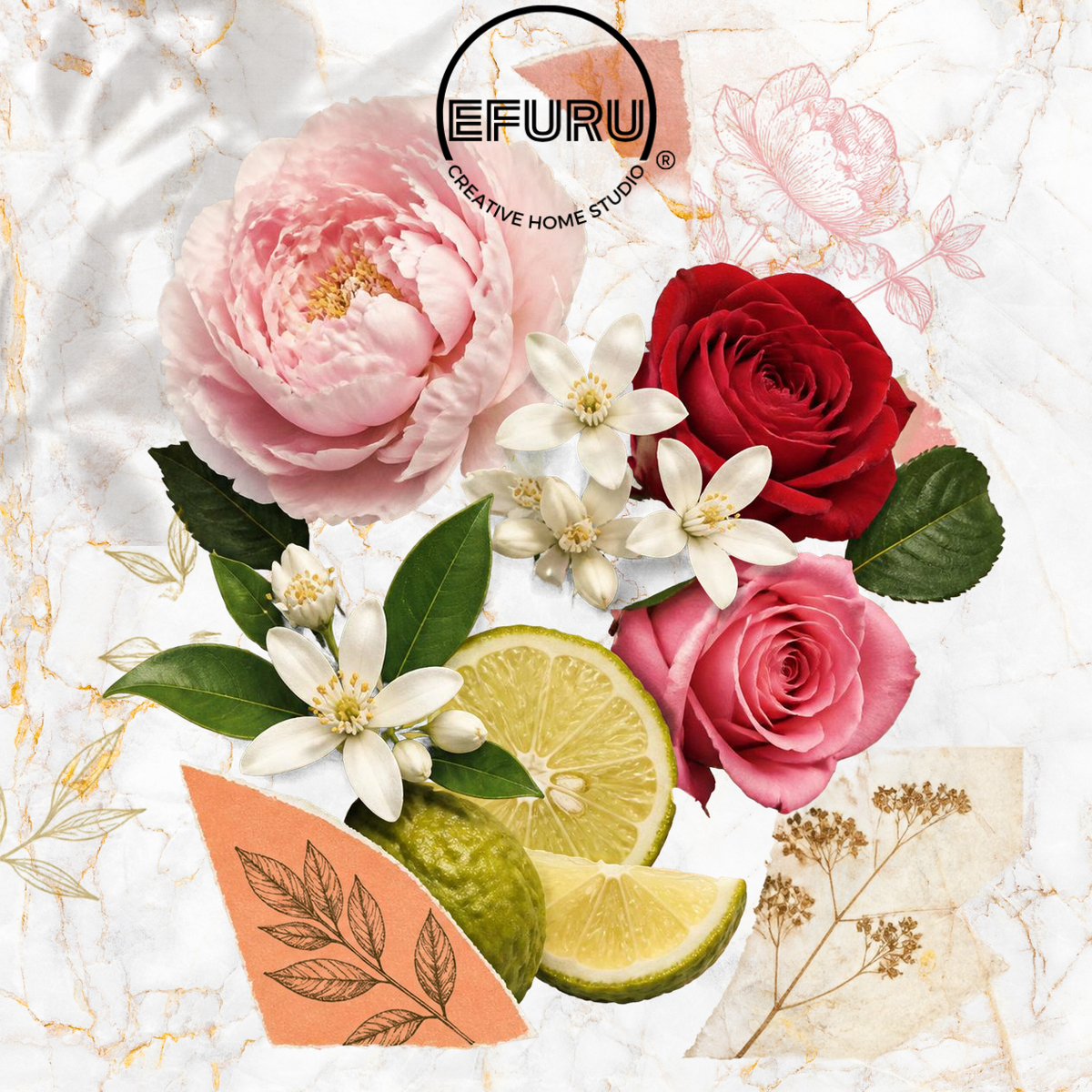 Floral Discovery Set