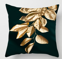 Free Throw Pillow Cover