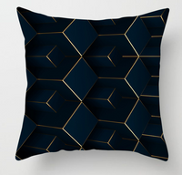Free Throw Pillow Cover
